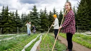 Marie Woeste arbeitet mit Praktikanten auf dem Feld. Marie Woeste arbeitet mit Praktikanten auf dem Feld.