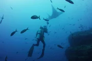 Meeresbiologe Rick Rosenthal mit Manta, Revillagigedo Archipel, Mexiko