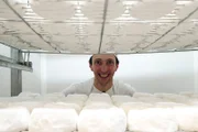 Käsemeister Vinzenz Stern bei der Camembert Produktion