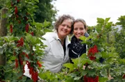 Mitten im Johannisbeeren-Feld: v.li. Ina Lichtenthäler und Jessica Schönfeld.