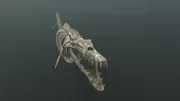 Ein computergeneriertes Bild aus der Episode "Secrets of the Terror Whale" zeigt das Skelett eines Terrorwals.