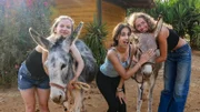 Es ist Liebe auf den ersten Blick! Josefine, Mahak und Nele sind sofort hin und weg von den Eseln der Auffangstation für misshandelte Tiere. Sie helfen, die Esel wieder aufzupäppeln.