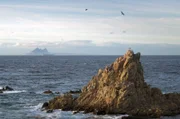 Die Straße von Gibraltar ist ein Zufluchtsort für eine außergewöhnliche Artenvielfalt, die hier Nahrung und Schutz findet.