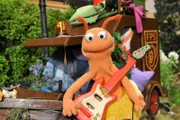 Finchen sucht Asyl in der Möhre - samt Gitarre.