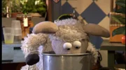 Oh nein! Pferd kann seine Kuschelmöhre nicht finden! Er und Wolle stellen die ganze Möhre auf den Kopf und suchen überall.