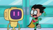 Robin (r.)