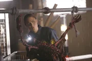 Dr. Brennan (Emily Deschanel)