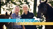 Die Pferdeprofis Katja Schnabel und Bernd Hackl.