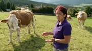 Schweren Herzens hat die Lungauer Bäuerin Manuela T. ihre Milchkühe verkauft und hört mit der Biomilchproduktion auf. Ausschlaggebend war der niedrige Milchpreis und eine schwere Verletzung nach einem Unfall auf dem Hof.