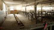Österreichweit gibt es lt. Statistik Austria und EUROSTAT etwa 110.000 landwirtschaftliche Betriebe. Innerhalb von 15 Jahren haben rund 60.000 Bauern ihre Höfe zugesperrt. Der Strukturwandel ist europaweit sichtbar, innerhalb von 10 Jahren haben fast ein Viertel der LandwirtInnen ihren Betrieb eingestellt.
