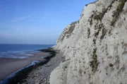 Die Straße von Dover trennt Großbritannien von Kontinentaleuropa. Ihre Felsen, Sandbänke und Strömungen formen eine artenreiche Wasserlandschaft.