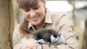 Terri Irwin holding Rarity the echidna puggle at echidna kindy.