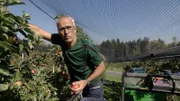 Ein Fünftel der österreichischen Obstbauern haben in den vergangenen sieben Jahren zugesperrt. Manfred Kohlfürst, der Präsident des Bundesobstbauverbandes, spricht von einer prekären Situation. Schuld seien neben dem Preisdruck durch die Handelsketten auch die extremen Wetterkapriolen, die den Bauern immer mehr zu schaffen machen. Derzeit gibt es in Österreich noch etwa 3150 Betriebe, die Obst anbauen, 2017 waren es noch fast 4000.