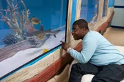 Tracey Morgan Tracey Morgan