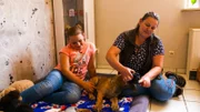Sandra Michel und ihre Tochter Lena aus Siegen mit Deutsche Dogge-Welpe "Lord".