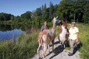 Mit ihren Lamas bieten Anja und Jürgen Leiner mehrtägige, geführte Touren an oder setzen die Tiere für Therapien ein. Mit ihrerm Hof im Fuchstal haben sie sich einen Lebenstraum erfüllt.