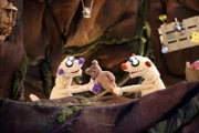 Auch die Erdmännchen Jan & Henry geraten mal in einen kleinen Streit.