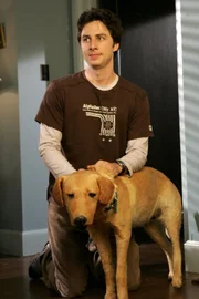 Meine Begegnung mit dem Tod: J.D. (Zach Braff) ...