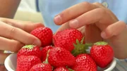 Klivia pflanzt Erdbeeren. Im Zeitraffer wird gezeigt, wie die leckeren roten Beeren wachsen.
