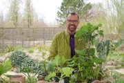 Karl Ploberger stellt verschiedene Gemüseraritäten vor: von Wasabi über Artischocke, Ewigen Kohl, Rhabarber bis hin zur Yacon-Wurzel.