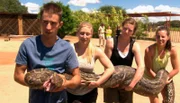 Zu Hilfe! Diese vier Meter lange Python hat sich eindeutig überfressen – und eine ganze Antilope verspeist. Das Team der Harnas Wildlife Foundation rückt aus.