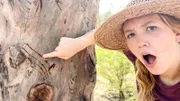 Nina findet an einem Baum Kratzspuren eines Lippenbären. Der ist hier auf der Suche nach Honig hochgeklettert.