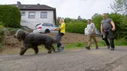 Martin Rütter (M.) besucht Heike und Martin mit Rüde Poldi.