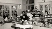 Zauner 1955