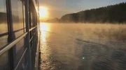 Sonnenaufgang über der Donau.