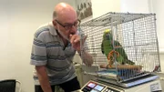 Die Gelbscheitelamazone Felix weiß, was sie will. Vor allem weiß sie, wo die Nüsse versteckt sind. Besitzer Günter Gerich kann bei Felix nicht "Nein!" sagen.