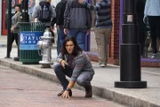 Thunderbird (Blair Redford)