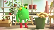 Froga