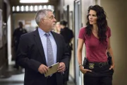 Jane Rizzoli (Angie Harmon) ist von der Unschuld des Staatsanwalts überzeugt. Vince Korsak (Bruce McGill) hat bei einem Verhör einen interessanten Hinweis erhalten.
