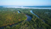 Regenwald-Wildnis in Peru