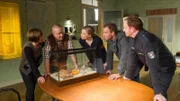 Katrin Börensen (Claudia Schmutzler, l.), Jan Reuter (Udo Kroschwald, 2.v.l.), Anneke van der Meer (Isabel Berghout, M.), Lars Pöhlmann (Dominic Boeer, 2.v.r.) und Kai Timmermann (Mathias Junge, r.) untersuchen Tod einer Lehrerin, die in ihrem Auto verunglückt ist. Es wurde festgestellt, dass die Bremsleitungen des Autos manipuliert wurden. Lehrerin Uta Schmidt unterrichtete an einer Privatschule. Einige ehrgeizige Eltern waren der Meinung, dass Frau Schmidt ihre Kinder unterfordert hat, und bei der Elternversammlung am Vortag eine "Entscheidung" getroffen haben: "Frau Schmidt muss weg!" Hat jemand von den unzufriedenen Eltern diese Entscheidung zu buchstäblich genommen?