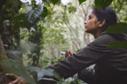 Nirupa Rao ist botanische Illustratorin. Sie zeichnet Pflanzen und Pflanzenteile möglichst detailgenau in ihrem natürlichen Umfeld.