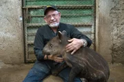 Im Zoo von Managua hat Dr. Eduardo Sacasa ein Zuchtprogramm ins Leben gerufen: 23 Tapire leben in seiner Obhut.