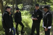 Das NCIS-Team (v.l.n.r. Sean Murray, Jennifer Esposito, Emily Wickersham, Mark Harmon und Wilmer Valderrama) steht vor einem Rätsel, als sie in einem Nationalpark einen ermordeten Marine-Sergeant vorfinden. Noch ahnen sie nicht, was alles hinter dem Mord steckt ...