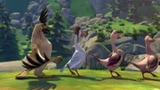 Das Training zur Wildgans hilft nichts. Gorgo denkt, dass er ein Adler ist.
