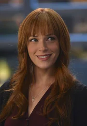 Seit ein Anschlag auf sie, Wayne und ihr Baby ausgeübt wurde, ist für Grace (Amanda Righetti) nichts mehr so, wie es war. Dennoch muss der Alltag bei den Ermittlungen weitergehen.