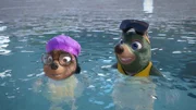 Moley und Dotty fühlen sich pudelwohl im glasklaren Wasser des Sees.