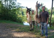 Mit ihren Lamas bieten Anja und Jürgen Leiner mehrtägige, geführte Touren an oder setzen die Tiere für Therapien ein. Mit ihrem Hof im Fuchstal haben sie sich einen Lebenstraum erfüllt.