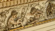 Stuck Darwin, Naturhistorische Museum Wien.