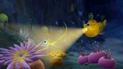 Timmy hat einen Fisch entdeckt, wie er ihn noch nie zuvor gesehen hat und verfolgt ihn in einen Unterwassertunnel.