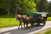Kutsche statt Wohnmobil. Am Tennsee tauschen Gerd und Ursel ihre über hundert PS gegen zwei Pferde. Sie lassen ihren luxuriösen Camper stehen und machen eine Kutschfahrt in die Berge. Doch dann soll Gerd auch hier die Zügel übernehmen…