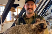 Jan-Phillipp König mit einem ausgestopften Dachs. Weiteres Bildmaterial finden Sie unter www.br-foto.de.