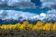 Prächtige Laubfärbung kündigt den Herbst im Grand Teton Nationalpark an