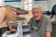 SWR Fernsehen ELSTNERS REISEN: DIE RETTER DER MEERESTIERE, am Freitag um 20:15 Uhr. In einer Auffangstation auf La Palma machte Frank Elstner Bekanntschaft mit einer wehrhaften Rieseneidechse.
