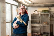Perserkater Monchi musste bei seiner Ankunft im Tierheim Duisburg erst einmal geschoren werden. Sein Fell war in einem fürchterlichen Zustand.