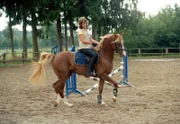 MDR Fernsehen ALINA TEIL 2, "Die Pferdeflüsterin", am Donnerstag um 14:30 Uhr. Alina (Marett Katalin Klahn) demonstriert, dass sie Silverado gezähmt hat und ihn durchaus reiten kann. Ob man ihn ihr endlich überlässt?